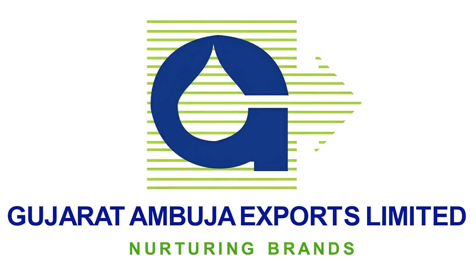 Gujarat Ambuja Exports Ltd Q3FY23 PAT: ₹81.92 Cr consolidated