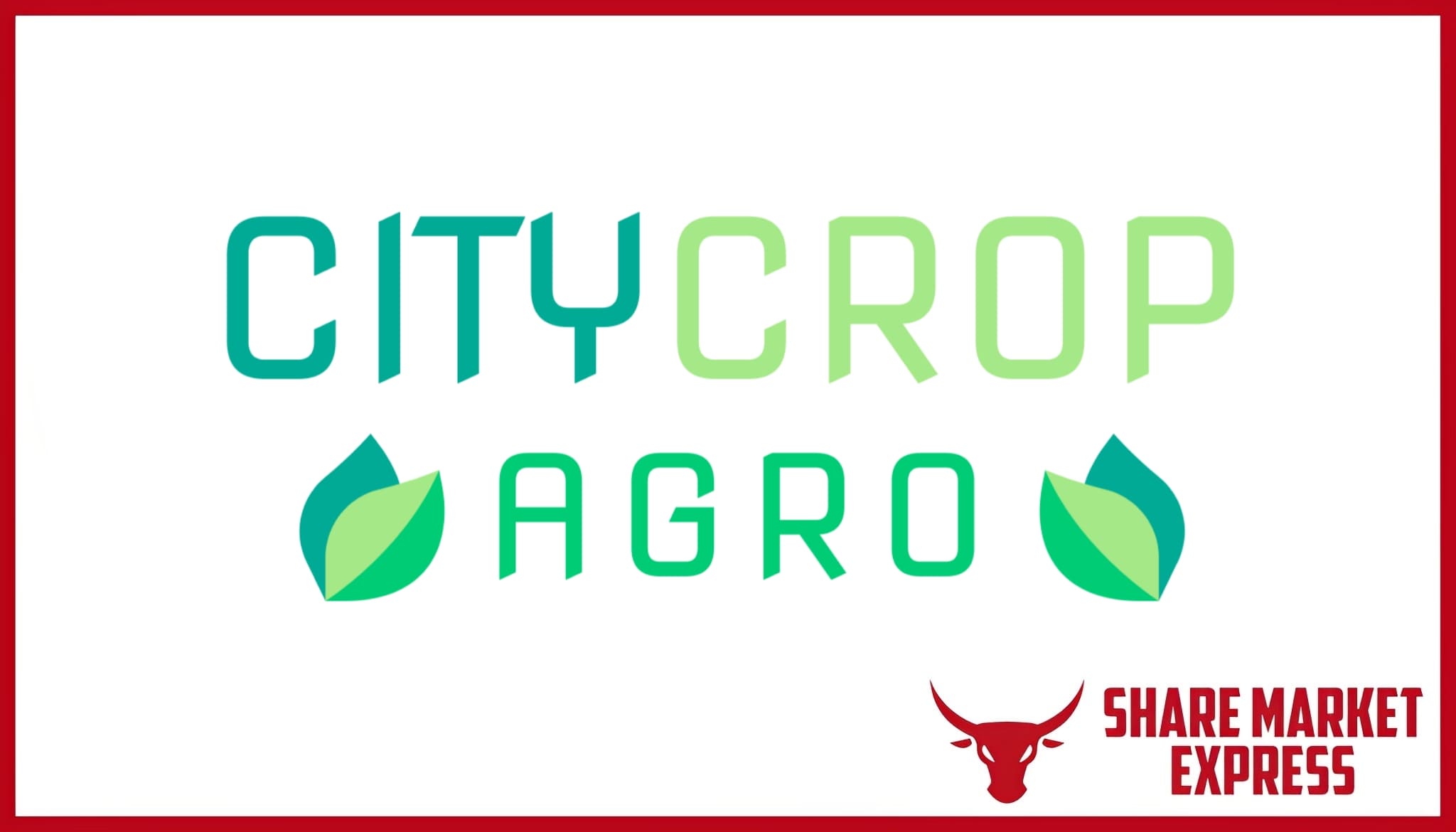 City Crops Agro IPO