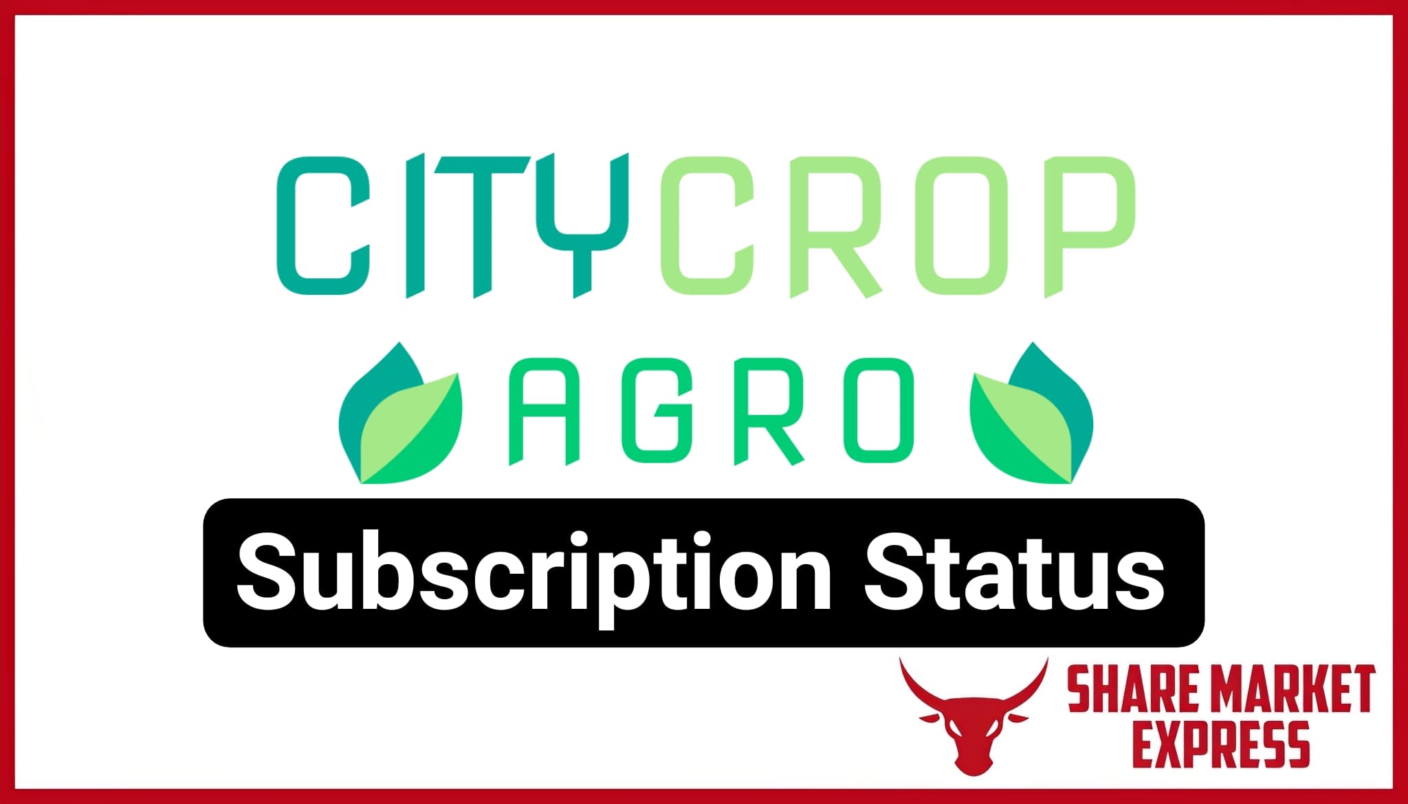 City Crops Agro IPO Subscription Status (Live Data)