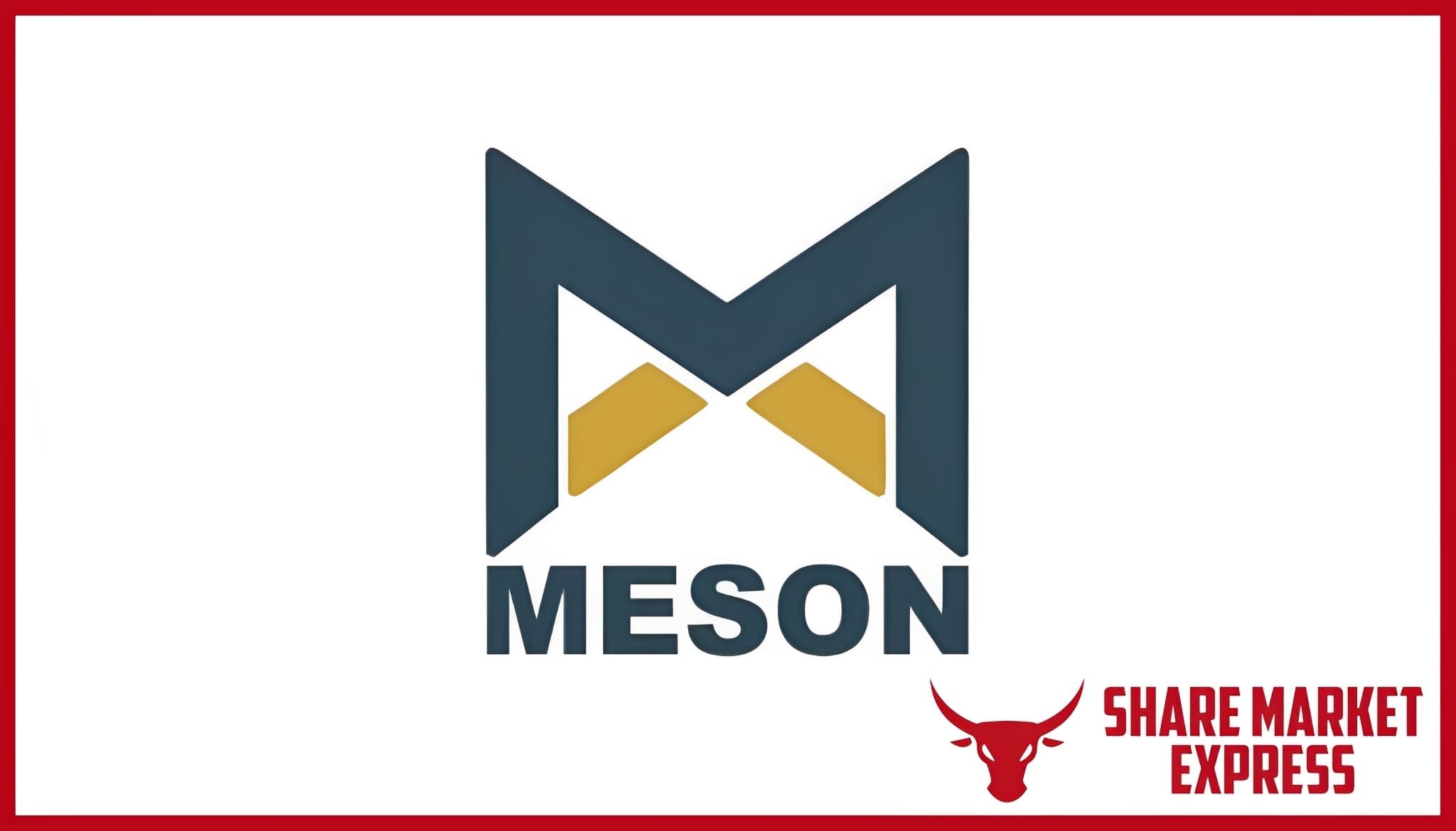 Meson Valves IPO