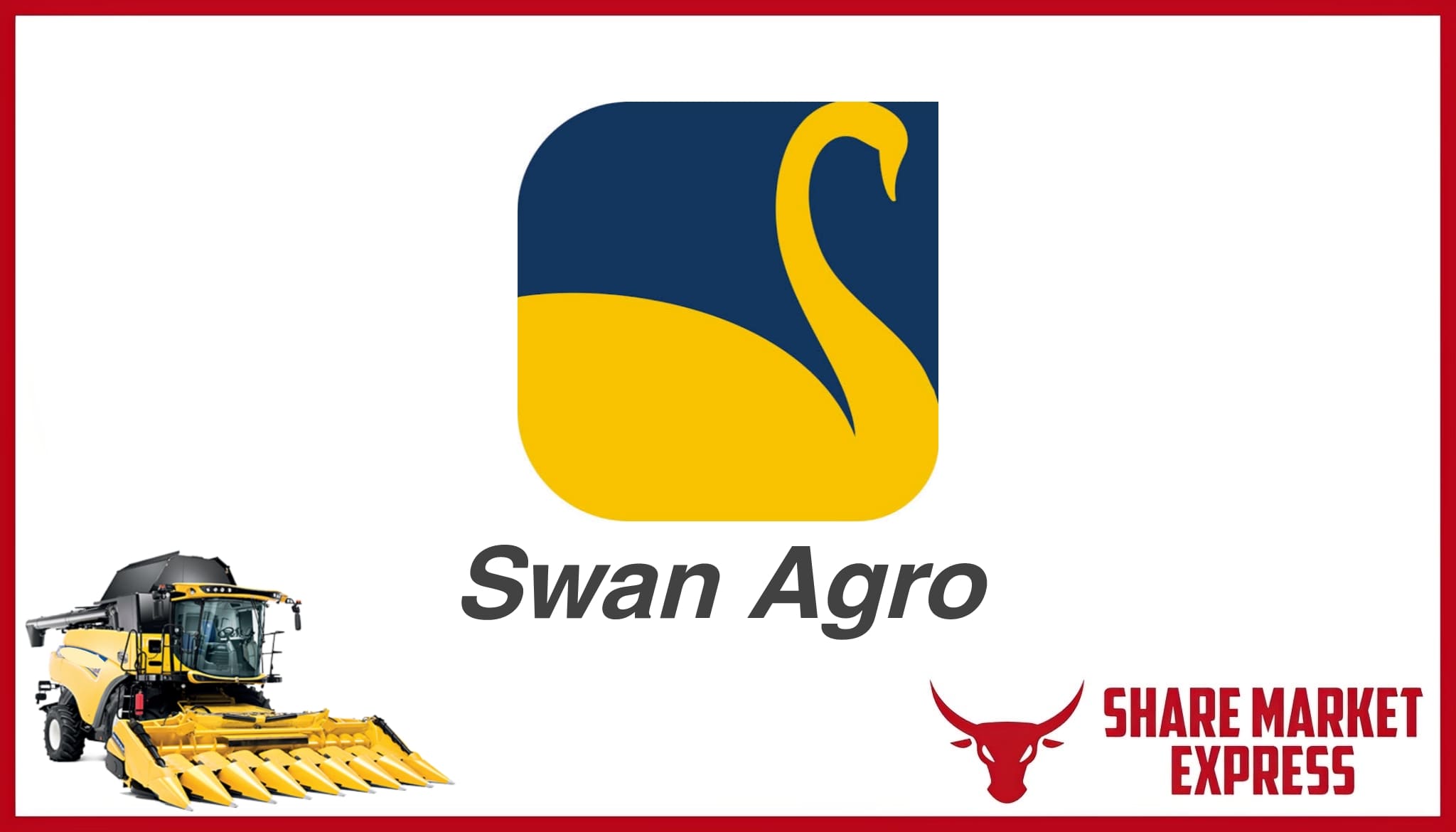 New Swan Multitech IPO