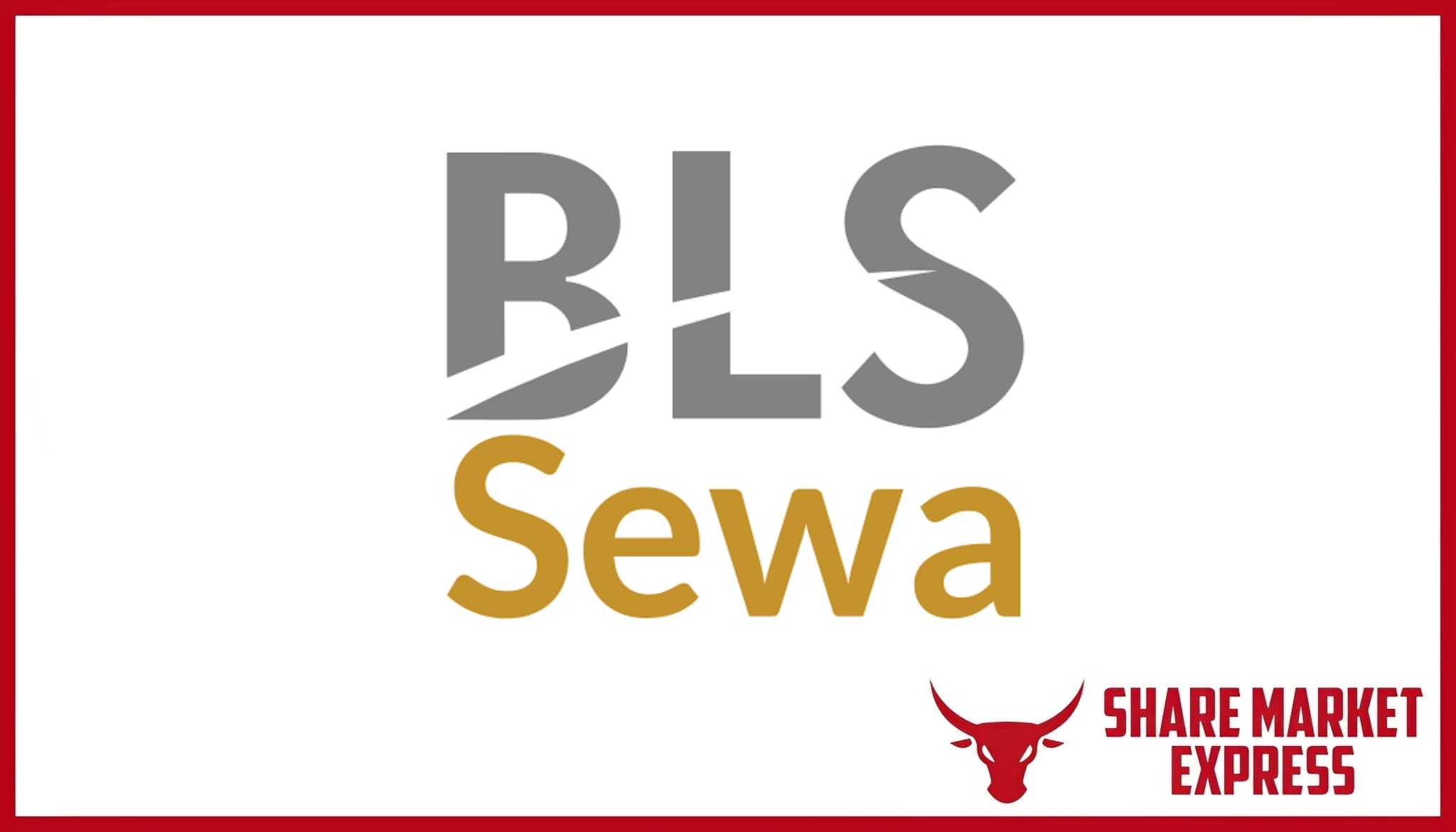 BLS E Services IPO