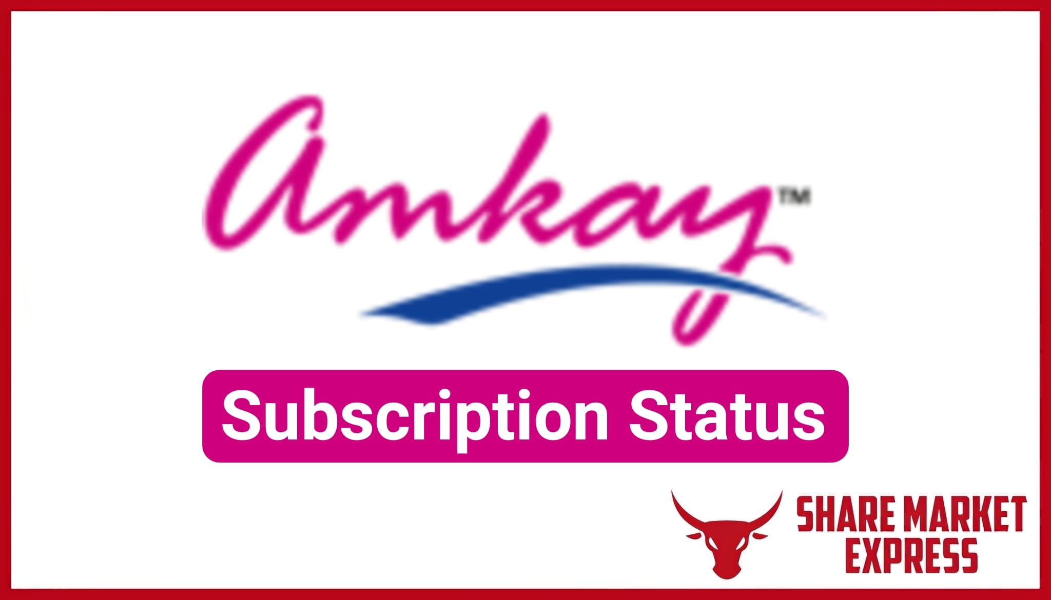 Amkay Products IPO Subscription Status